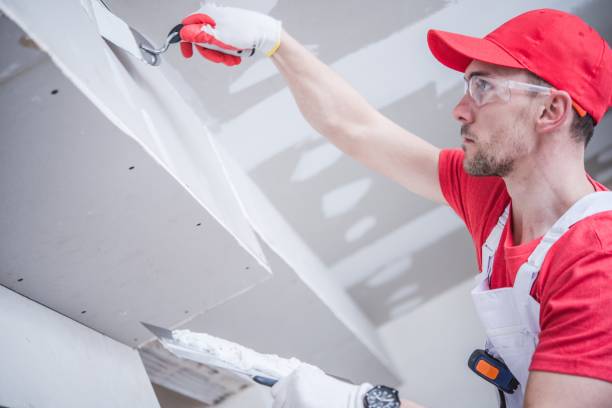 West Grove, PA Mold Removal Company